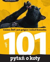101 pytań o koty, czyli czemu kot jest gałgan i zeżarł kanarka
