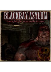 Blackbay Asylum (PC) DIGITAL