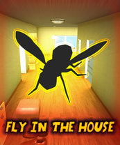 Fly In The House (PC) DIGITAL