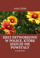 Sieci networkowe w Polsce, które jeszcze nie powstały, a powinny!