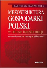 Mezostruktura gospodarki Polski w okresie transformacji. Uwarunkowania, procesy, efektywność
