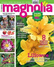 Magnolia 8/2016