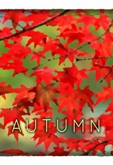 Autumn (PC/MAC/LX) klucz Steam