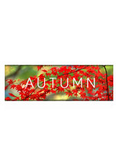 Autumn (PC/MAC/LX) klucz Steam