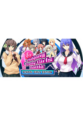 Mahjong Pretty Girls Battle: School Girls Edition (PC) DIGITAL