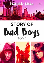 Story of Bad Boys 1