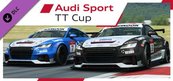 RaceRoom - Audi Sport TT Cup 2015 (PC) klucz Steam