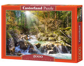 Puzzle The forest stream 2000