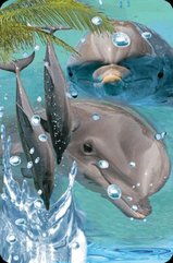 Minikartka 3D - Delfin