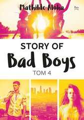 Story of Bad Boys 4