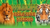 Wildlife Creative Studio (PC) klucz Steam
