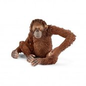 Orangutan samica - Schleich