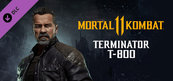 Mortal Kombat 11 Terminator T-800 (PC) Klucz Steam