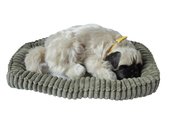 Śpiący pies na poduszce - Mops