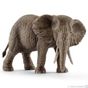 Słoń afrykański samica - Schleich