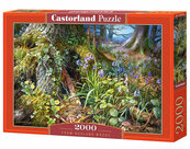 Puzzle From Rusland Woods 2000
