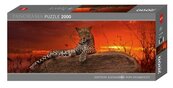 Puzzle 2000 Gepard (panorama)