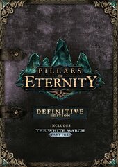Pillars of Eternity - Definitive Edition (PC) Klucz Steam