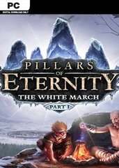 Pillars of Eternity - The White March Part I (PC) klucz Steam