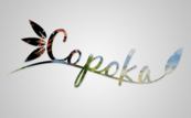 Copoka (PC) Klucz Steam