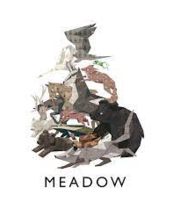 Meadow (PC) Klucz Steam