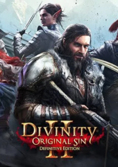 Divinity: Original Sin 2 Definitive Edition (PC) Klucz GOG