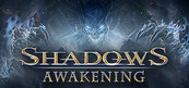 Shadows: Awakening (PC) Klucz Steam