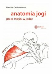 Anatomia jogi