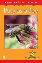 Factual: Busy as a Bee 1+