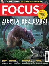 Focus 11/2021