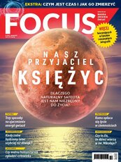 Focus 12/2021