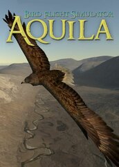 Aquila Bird Flight Simulator (PC) klucz Steam
