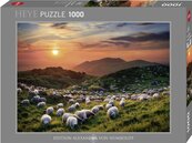Puzzle 1000 Owce i wulkany