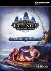 Pillars of Eternity: Expansion Pass (PC) klucz Steam