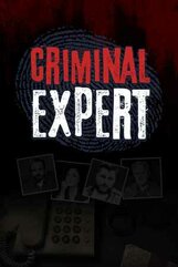 Criminal Expert (PC) klucz Steam