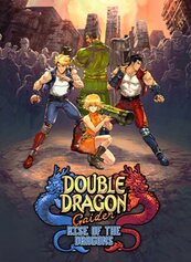 Double Dragon Gaiden: Rise of the Dragons (PC) klucz Steam