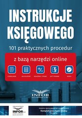Instrukcje księgowego.101 praktycznych procedur z bazą narzędzi online