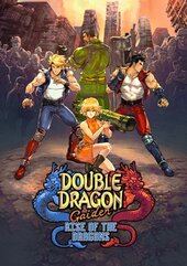 Double Dragon Gaiden: Rise Of The Dragons (PC) klucz Steam