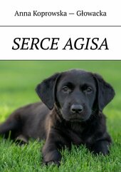 Serce Agisa