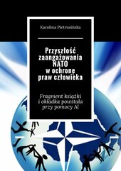 Przyszłość zaangażowania NATO w ochronę praw człowieka