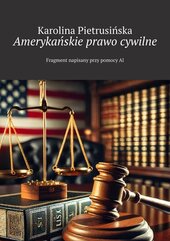 Amerykańskie prawo cywilne