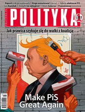 Polityka nr 43/2024