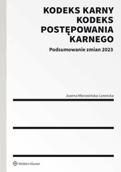 Kodeks karny i Kodeks postępowania karnego. Podsumowanie zmian 2023