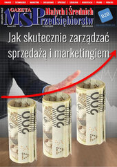 Gazeta Małych i Średnich Przedsiębiorstw