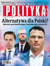 Polityka nr 10/2025