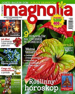 Magnolia 12/2015