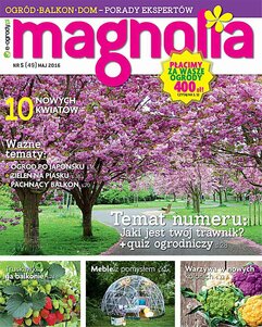 Magnolia 5/2016