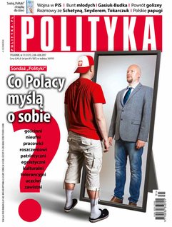 Polityka nr 31/2017