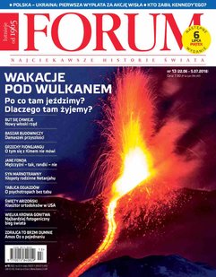 Forum nr 13/2018