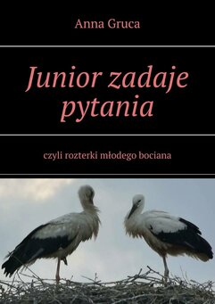 Junior zadaje pytania